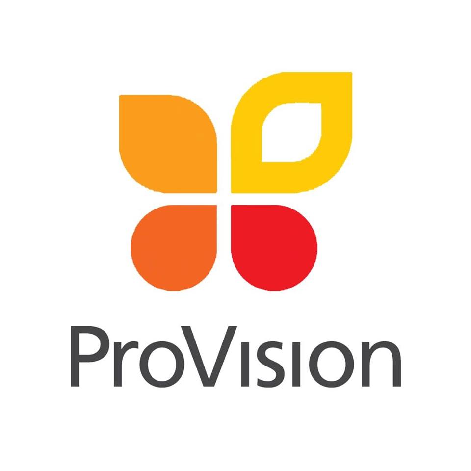 ProVision social media icon